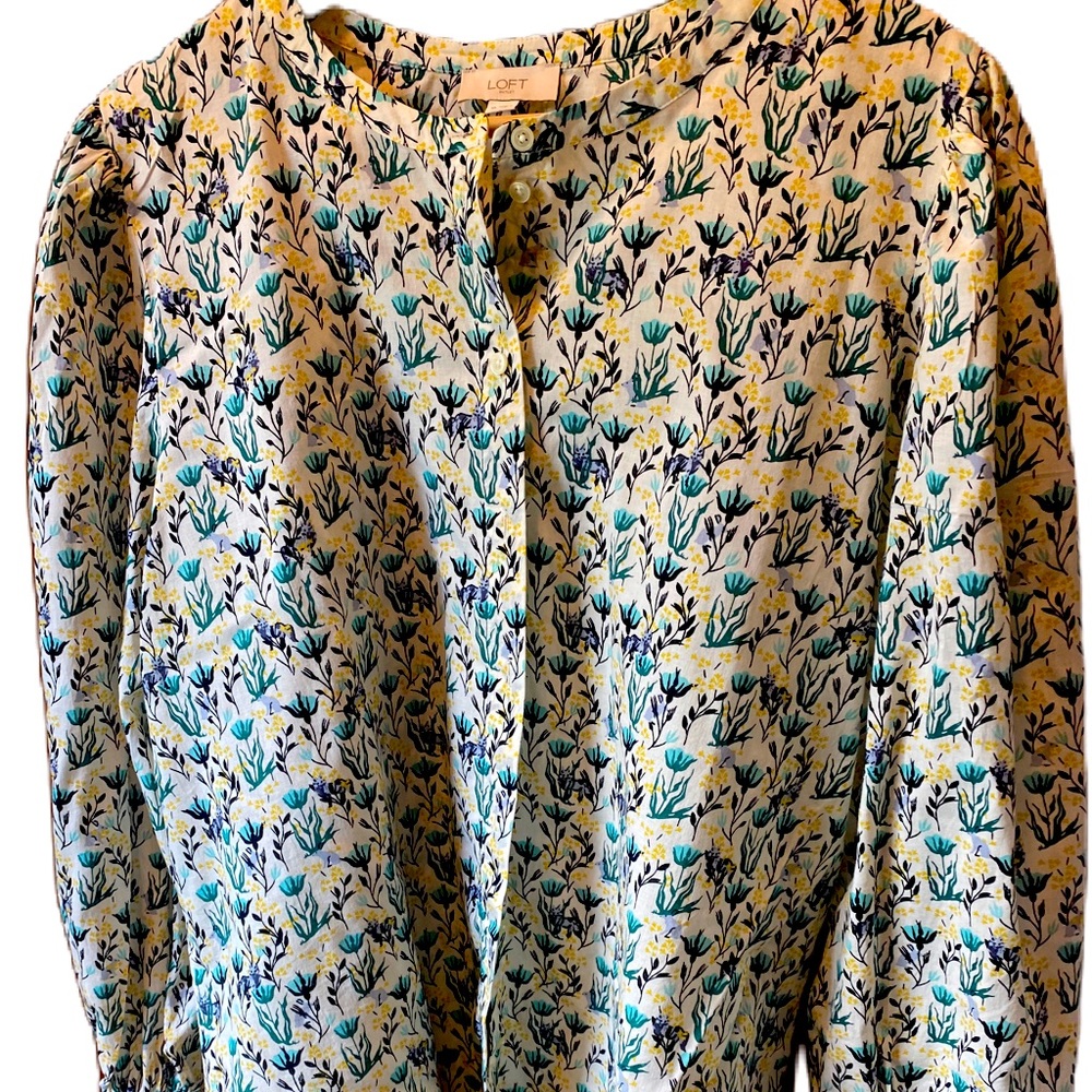 Loft button down cotton shirt. Worn gently.